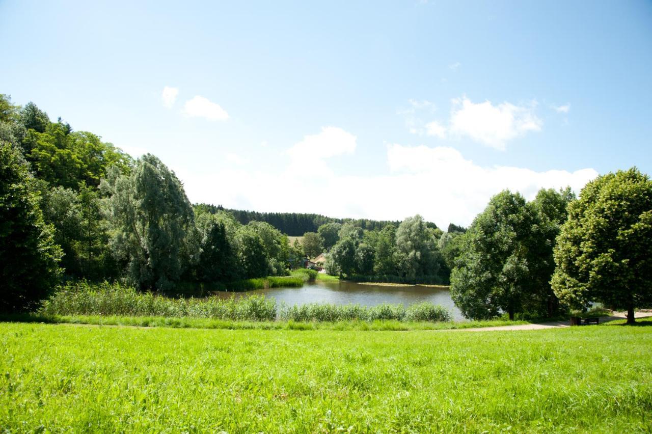 Eifel Relax Appartamento *