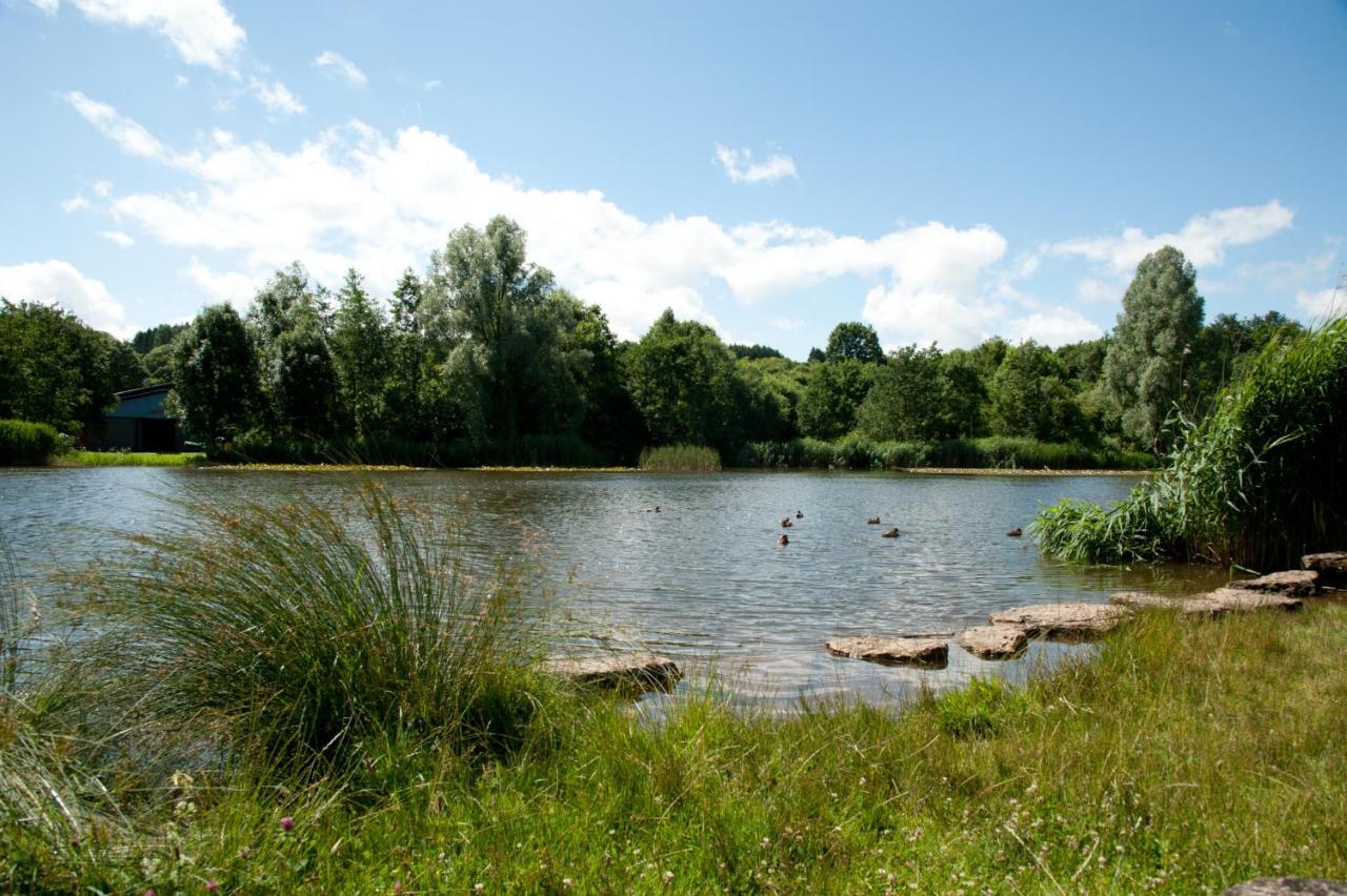 Appartamento Eifel Relax Hillesheim